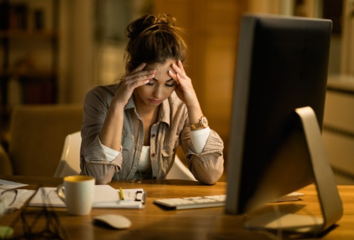 Dino - Divulgador de Noticias