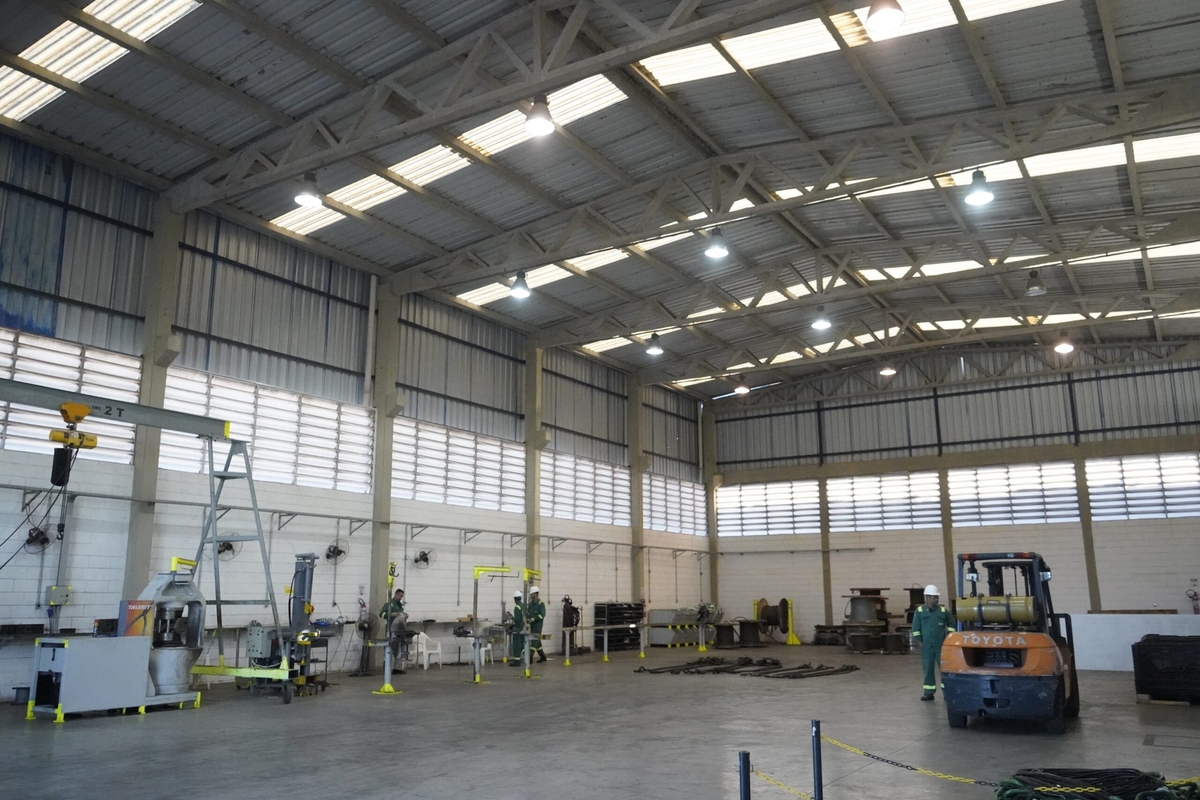 Dino - Divulgador de Noticias