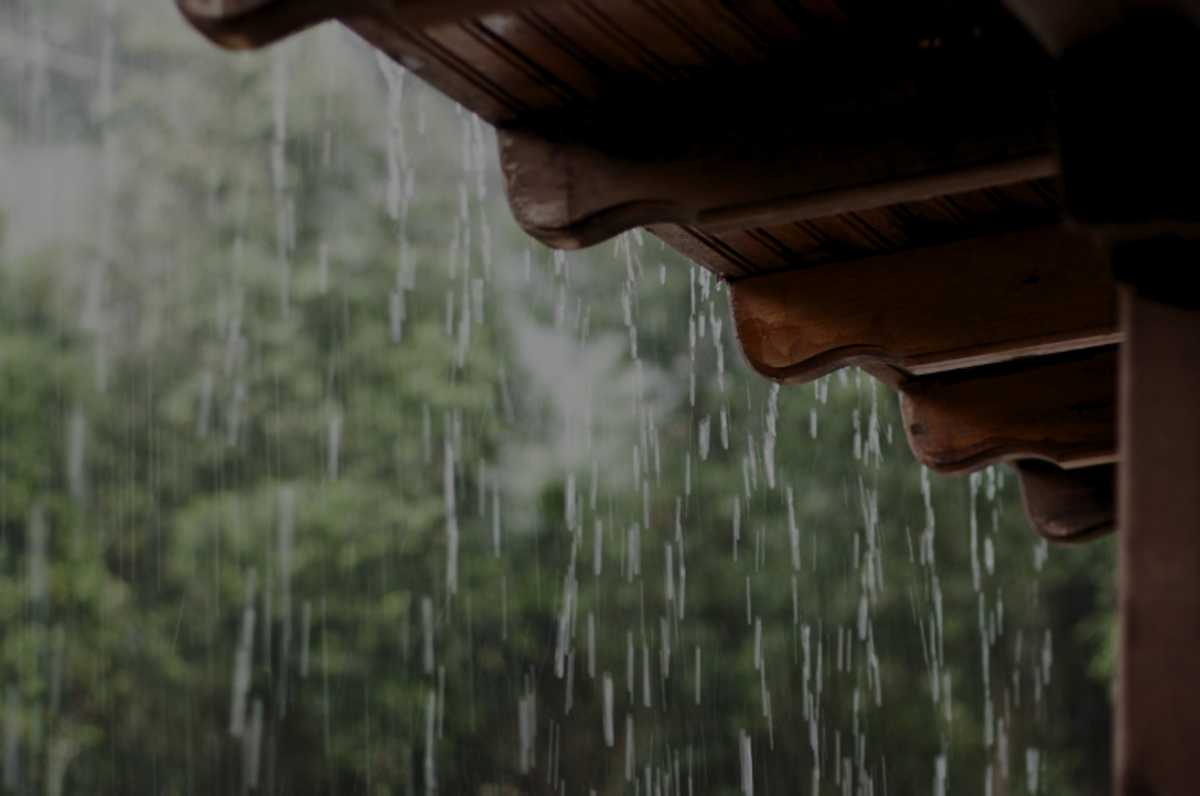 Dino - Divulgador de Noticias