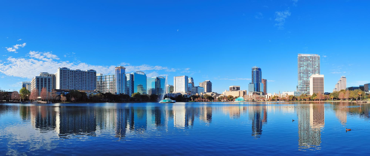 Dino - Divulgador de Noticias