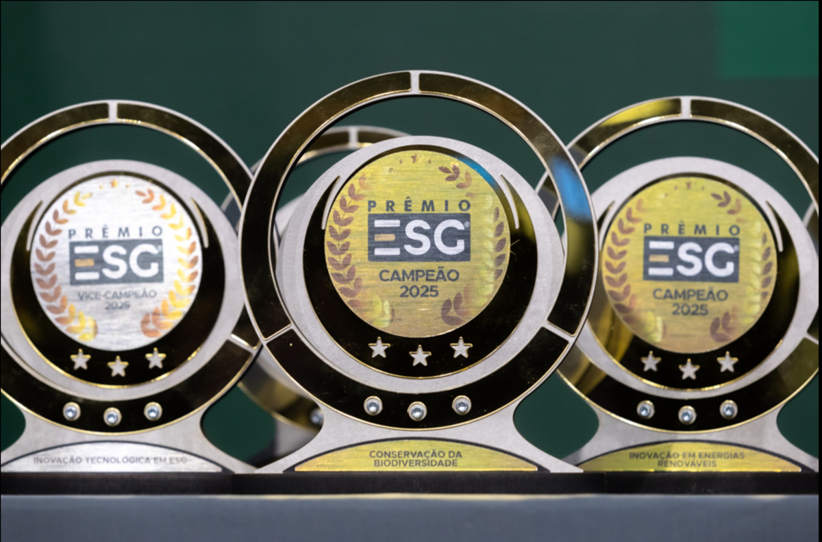 Dino - Divulgador de Noticias