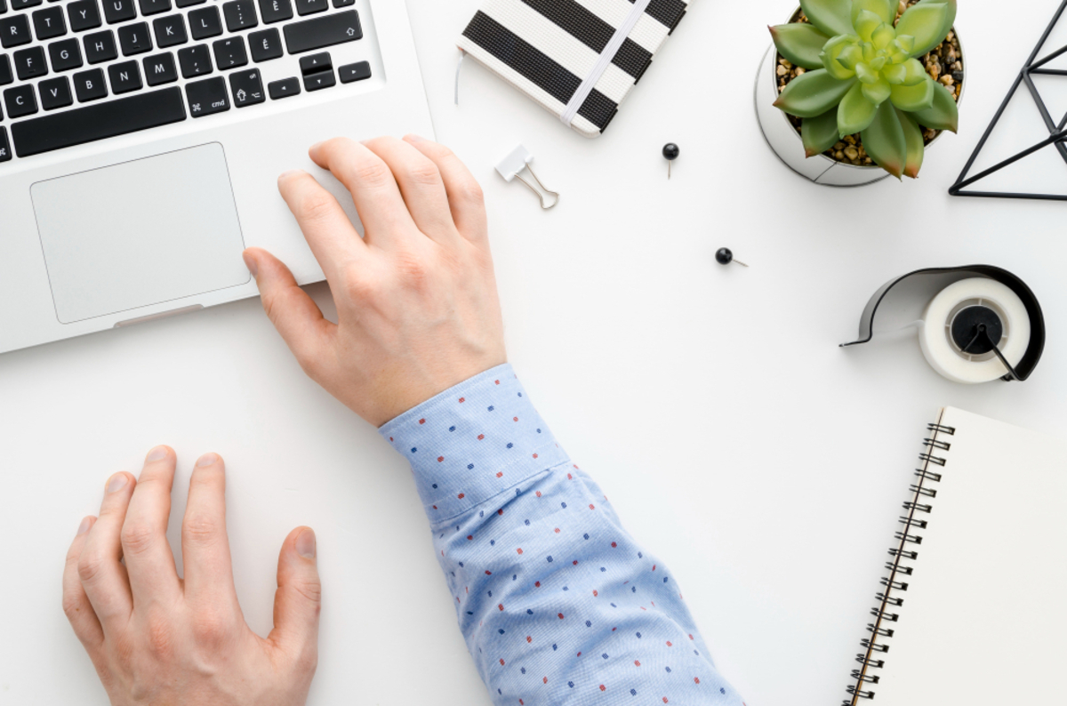 Dino - Divulgador de Noticias